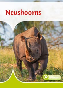 Neushoorns - Geert-Jan Roebers