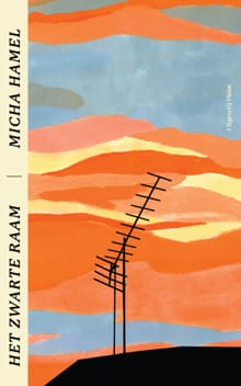 Het zwarte raam - Micha Hamel