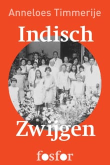 Indisch zwijgen - Anneloes Timmerije