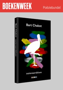 Ooievaarsblues | Set 10x Boekenweek thema-uitgave 2024 poëziebundel - Bart Chabot