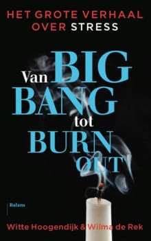 Van big bang tot burn-out - Witte Hoogendijk, Wilma de Rek