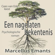 Een nagelaten bekentenis - Marcellus Emants
