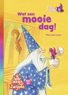 Foeksia de miniheks - Wat een mooie dag! - Paul van Loon