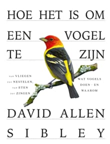 Hoe het is om een vogel te zijn - David Allen Sibley