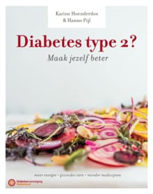 Diabetes type 2? Maak jezelf beter! - Hanno Pijl, Karine Hoenderdos