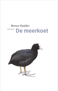 De meerkoet - Remco Daalder
