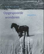 Opgespoorde wonderen - Rudy Kousbroek