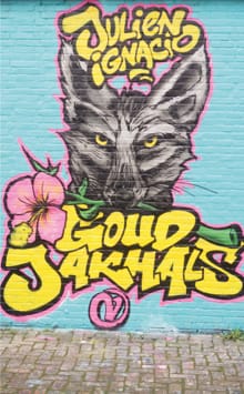 Goudjakhals - Julien Ignacio