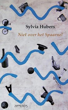 Niet over het Spaarne! - Sylvia Hubers