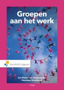 Groepen aan het werk - Jan Pieter van Oudenhoven, Hanneke Grutterink