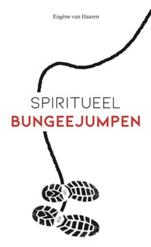 Spiritueel bungeejumpen - Eugène van Haaren