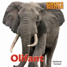 Olifant - Stephanie Turnbull