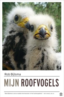 Mijn roofvogels - Rob Bijlsma