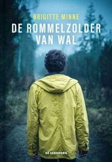 De rommelzolder van Wal - Brigitte Minne
