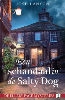Een schandaal in de Salty Dog - Josh Lanyon