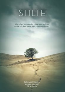 Stilte versus storm - Lieve van den Berg, Lucy Neetens, ...